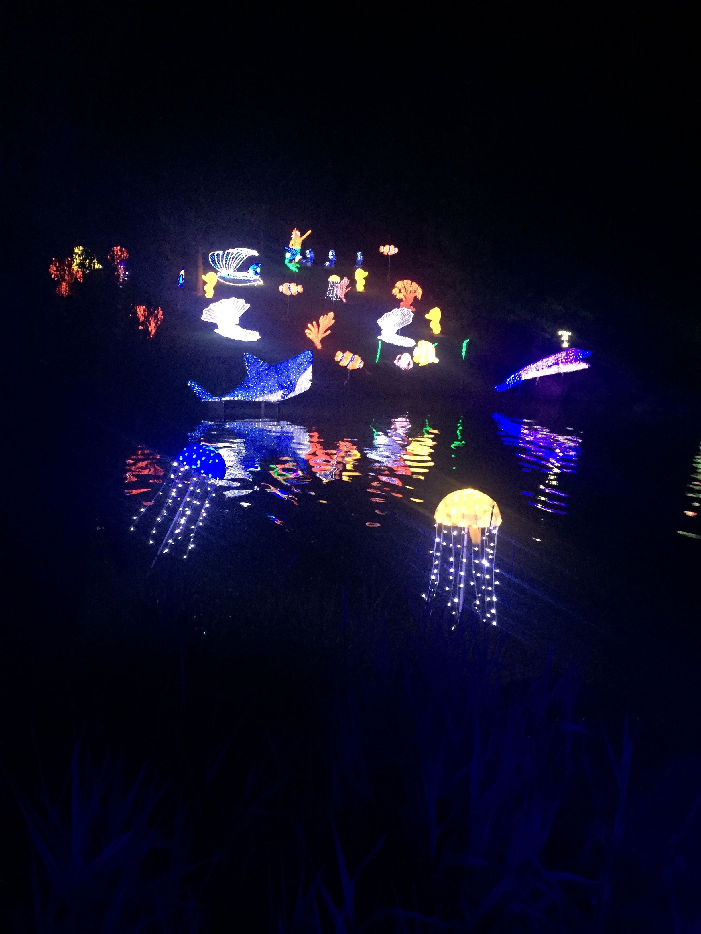 Hunter Valley Christmas Lights Spectacular Image -5b3abbde893db
